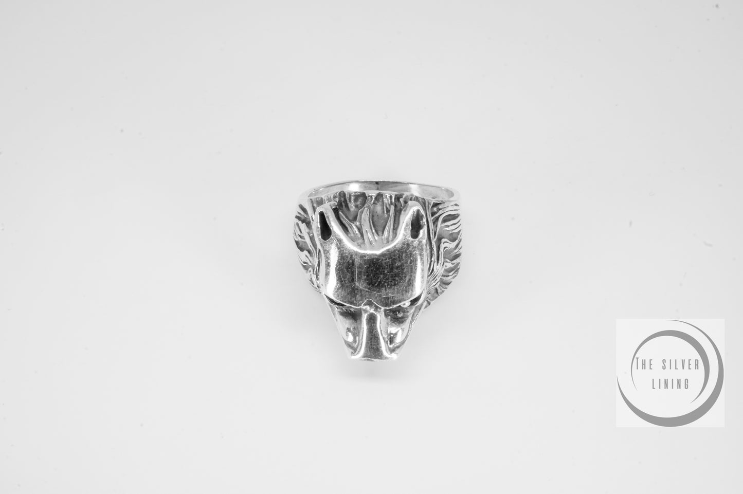 Anillo plata 925, Lobo frontal
