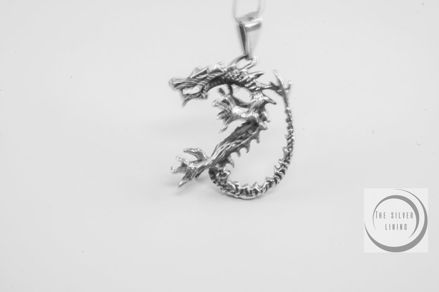 Dije de plata 925, Dragón Defensa con cadena incluída