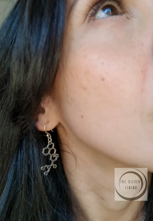 Aretes de plata 925, Colgantes de Ecuación Química