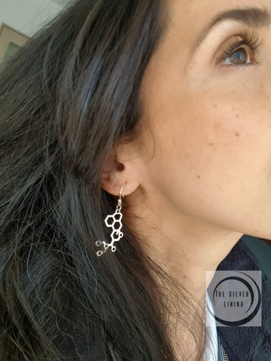 Aretes de plata 925, Colgantes de Ecuación Química